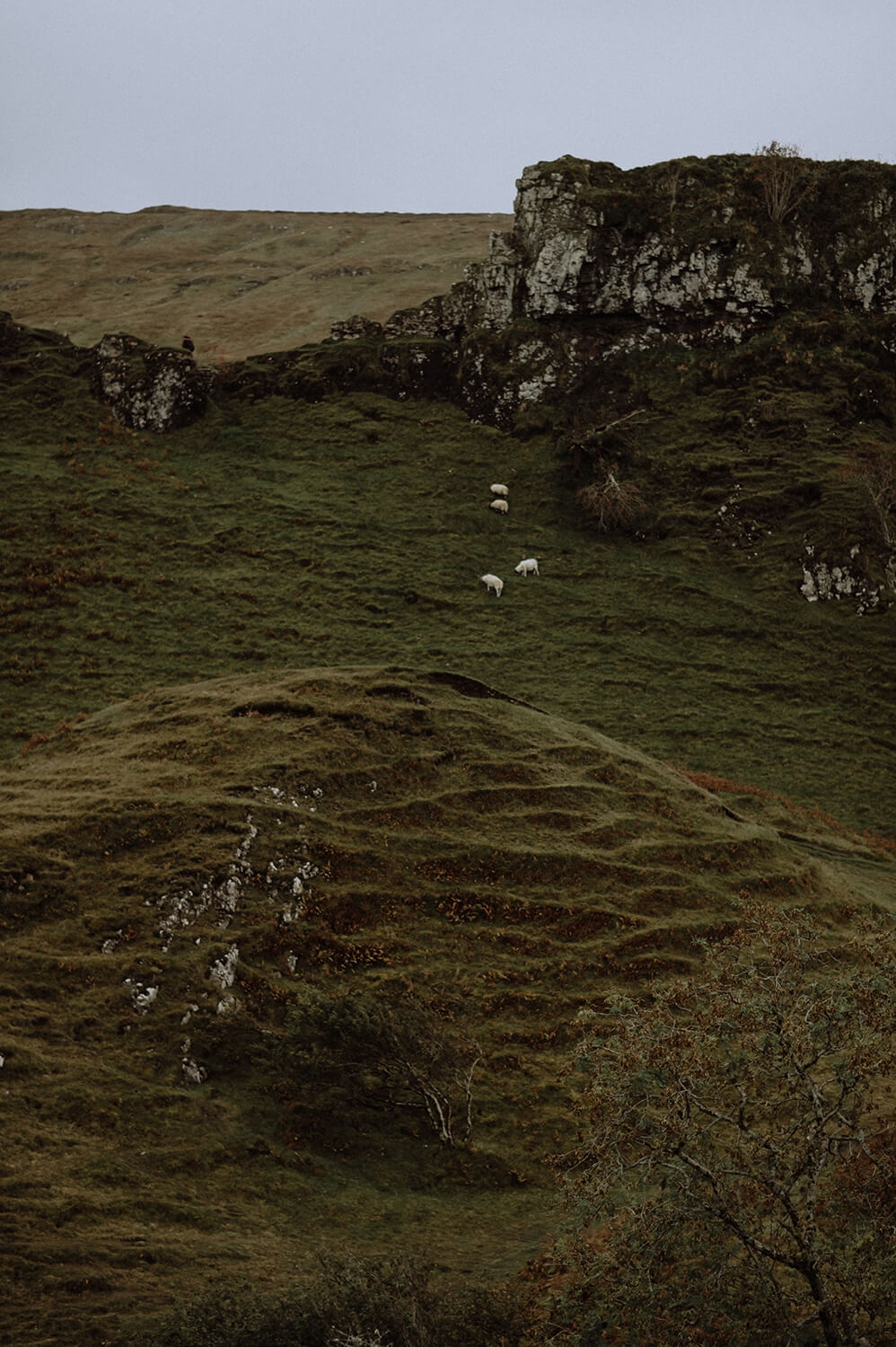 Landscape photography from the Fairy Glen. 